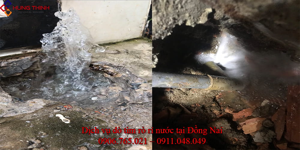 do-tim-ro-ri-nuoc-tai-dong-nai